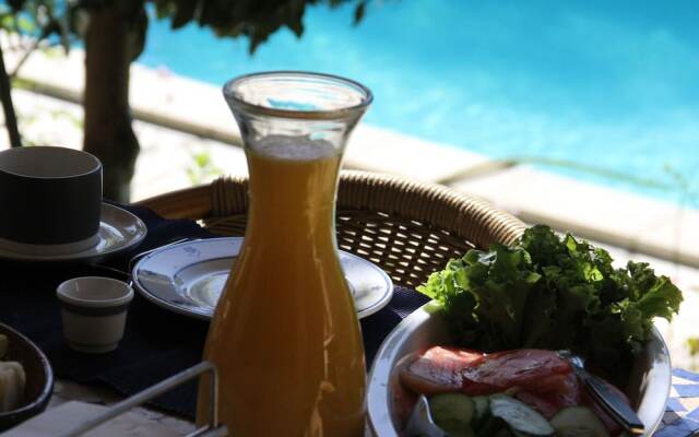 Spacious Villa With Private Pool in the Heart of Provence!