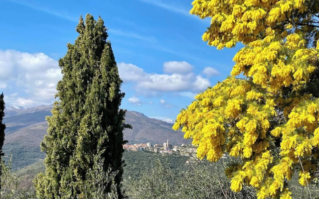 Panoramic Townhouse Casa del Borgo