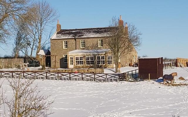 Countryside Escape - The Night Owl