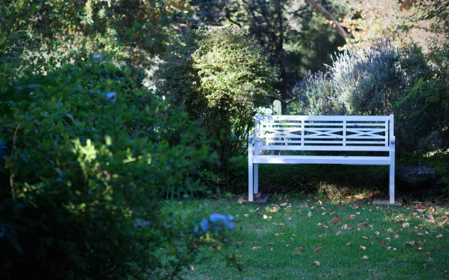 Oak Tree Lodge
