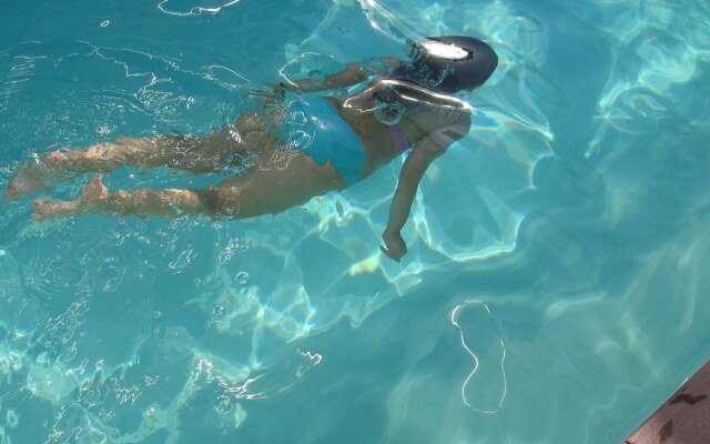 Au Domaine des Camelias