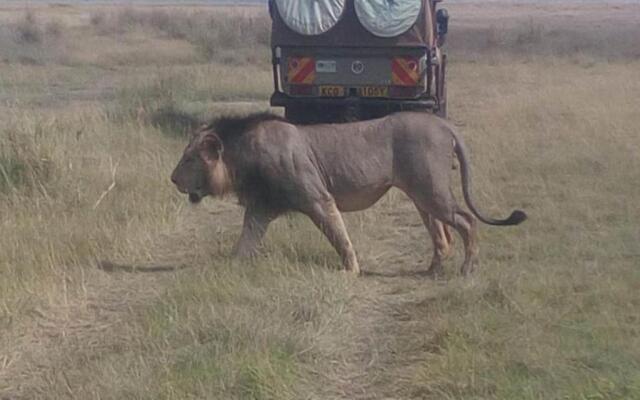 AA Lodge Maasai Mara