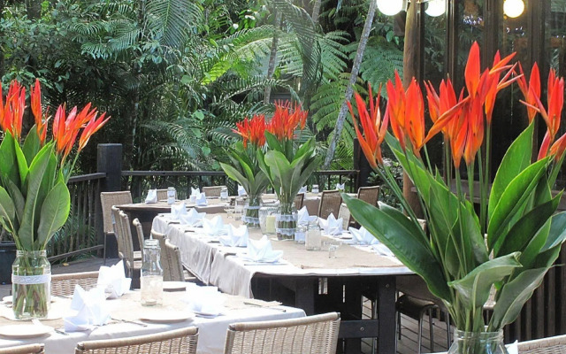 Ferntree Rainforest Lodge