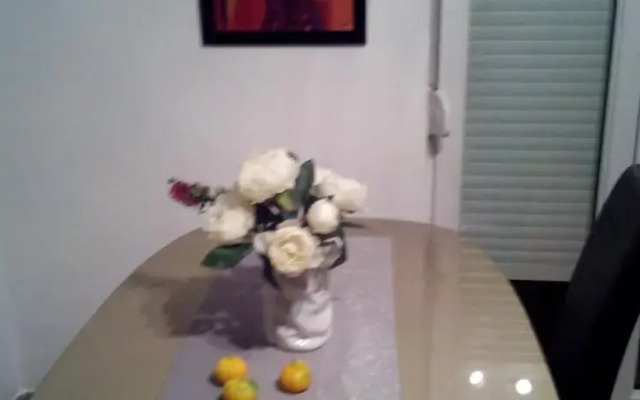 Apartment Draga