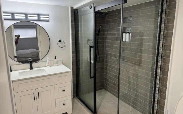 Cheerful and Modern