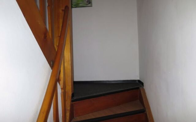 Grüne Oase (OBL120)