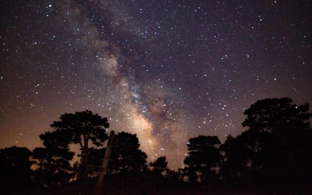 Babakamp Eco Ranch & Retreat