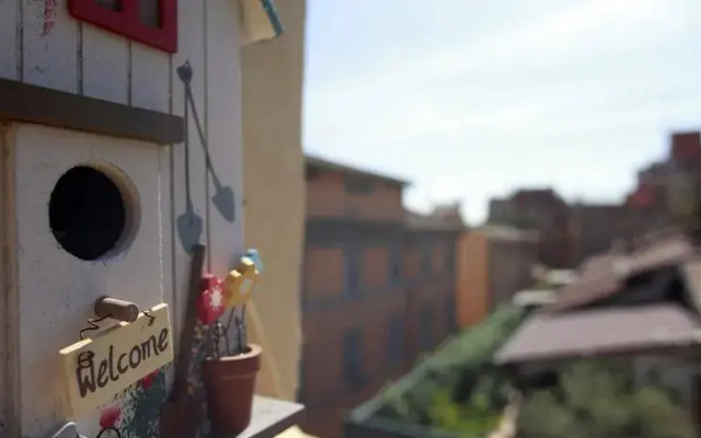 Baccina Suite
