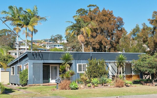 Sandy Point Road, 9, Sea Urchin