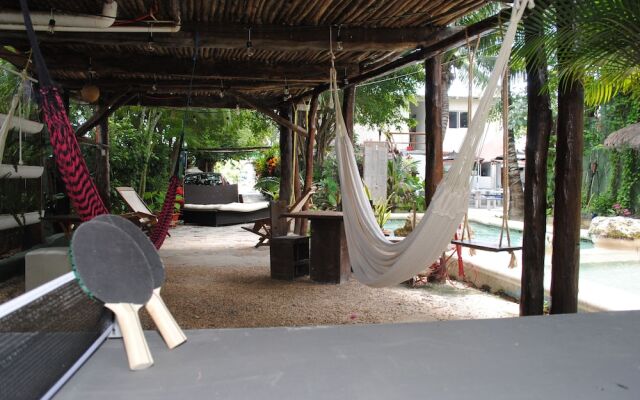Lobo Inn - Hostel