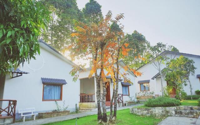 Bungalow VinaHouse