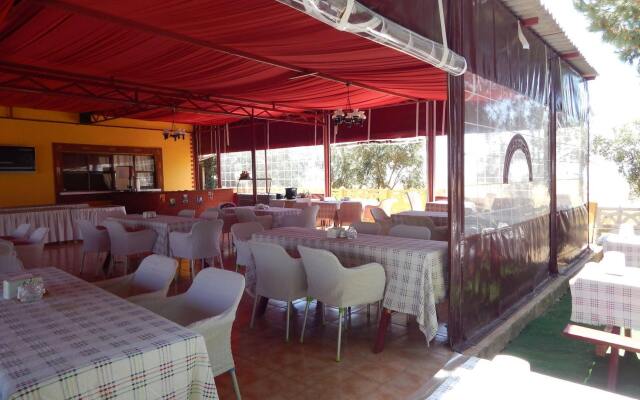 Koru Beach Club