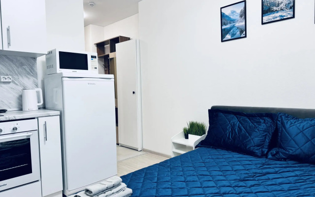 Vegas apartments (Вегас апартментс) на улице Правдинская