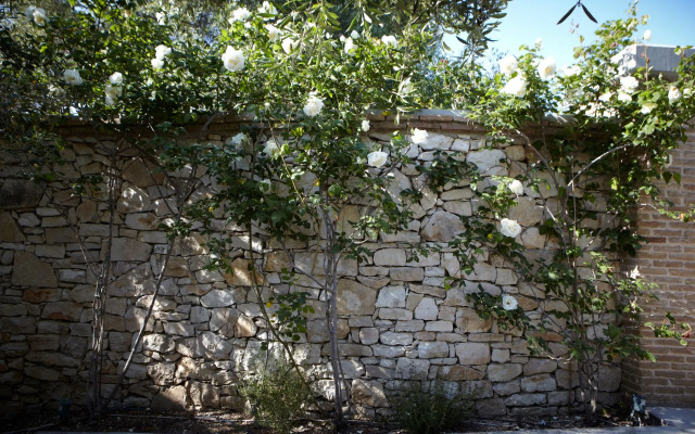 Torri e Merli