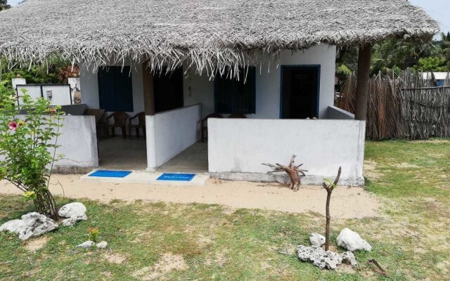 dolphin wadiya