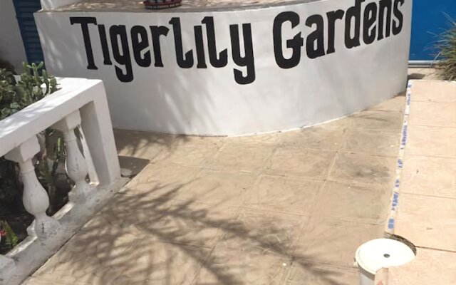 Tigerlily Gardens