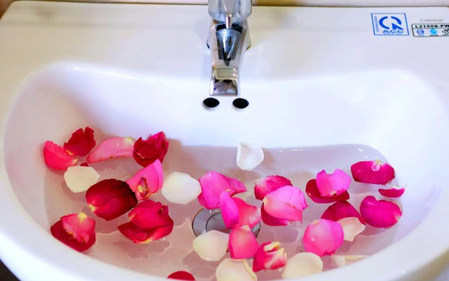 Dream Flower Homestay Hoi An