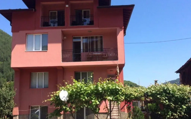 Vasilevi House
