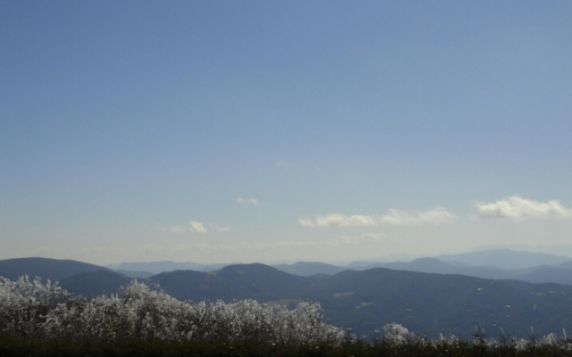 VCI - Klonteska Condominiums #D1