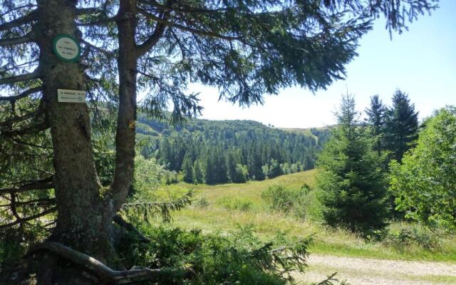 Cosy appartement La Bresse centre ville