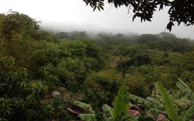 Hostel Finca La Gordita