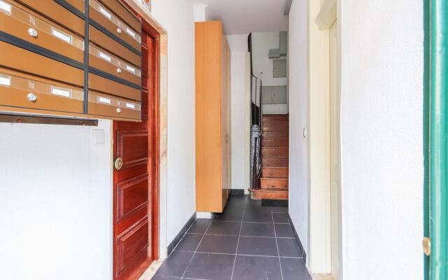 Vita Portucale | Design Apartment Campo Ourique