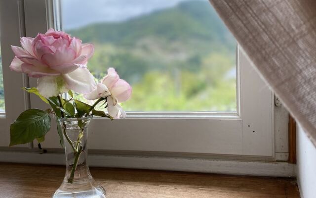 Le Clos Saint Georges