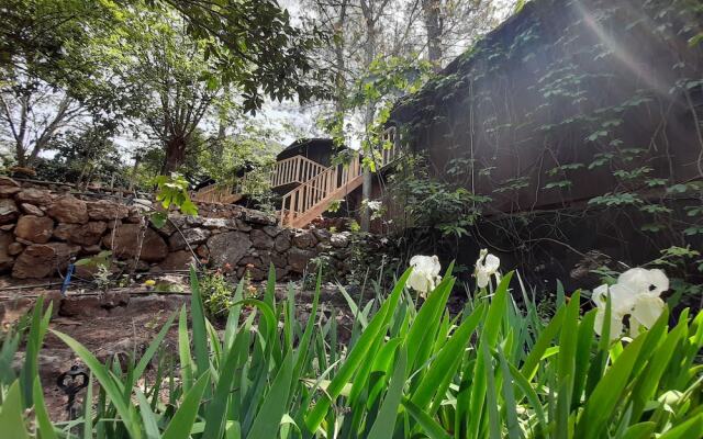 Altaris Bungalows Olympos