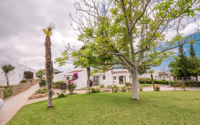 The Olive Tree Hotel