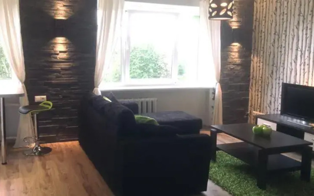 Sunny Studio Apartment