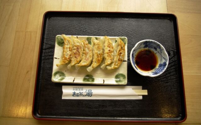 VILLA YAITA ONSEN  hot spa