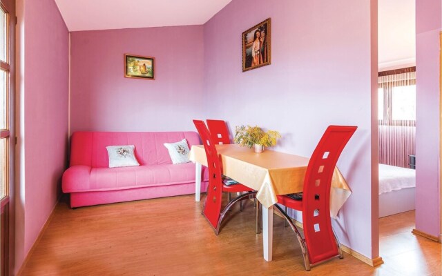 Nice Apartment in Liznjan With 1 Bedrooms
