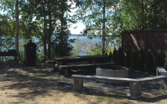 Villa koivula