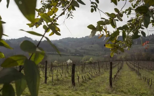 Agriturismo Tenuta Serravalle