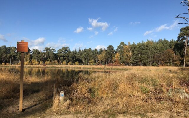 Luxurious Bungalow in Ambt Delden with terrace