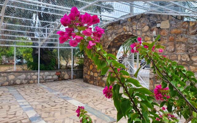 Dilek Agaci Butik Otel