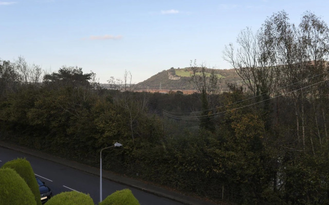 3 Trem Y Dolydd