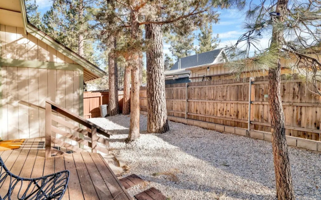 Serene Splendors #2538