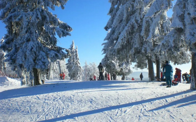 Pension Philippsreut "Zum Pfenniggeiger"