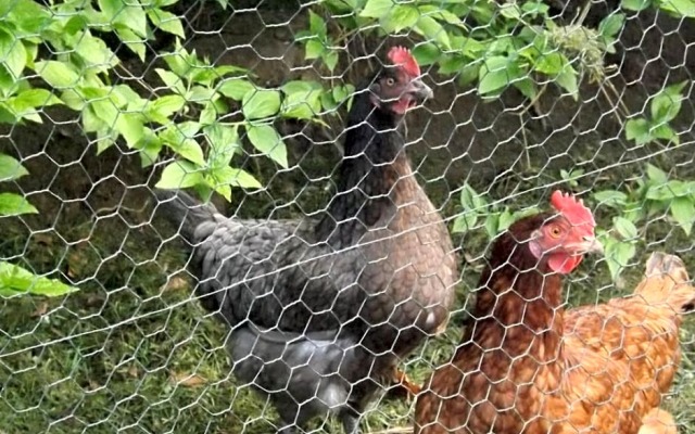 Au coeur de soissons 1