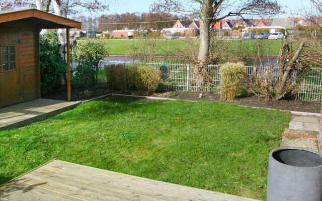 Kegelrobbe Norden in Norden