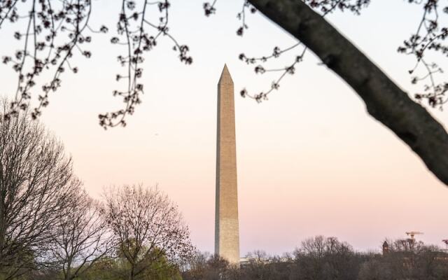 Kasa Alexandria Washington