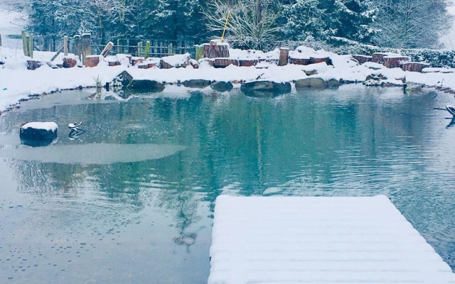 Charming Farmhouse, Natural Swimming Pool