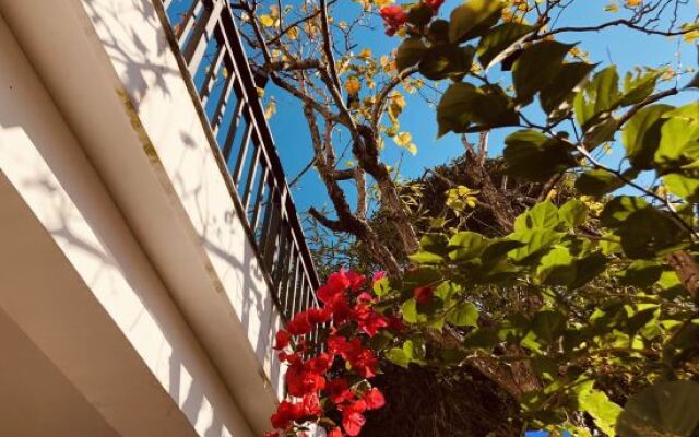 Ruoshanbei Homestay