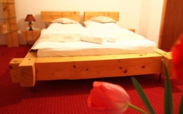 Pensiunea Vidra de Sus