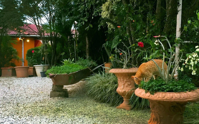 Palmwood Lodge