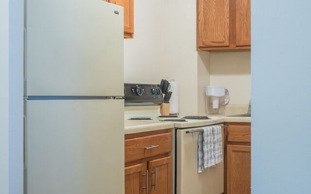 Stylish Apartments in Downtown