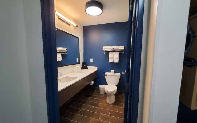 Spark by Hilton Lansing