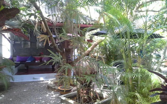Sunil Garden Guesthouse Coffee and More