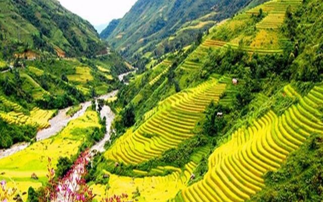 Sapa Mountain Queen House